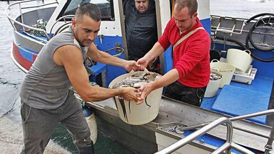 Dos marineros descargan las capturas de pulpo en un puerto gallego.
