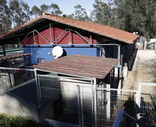 La razón por la que Gijón dirá adiós a su albergue de animales en Serín (y ya busca ubicación para otro)