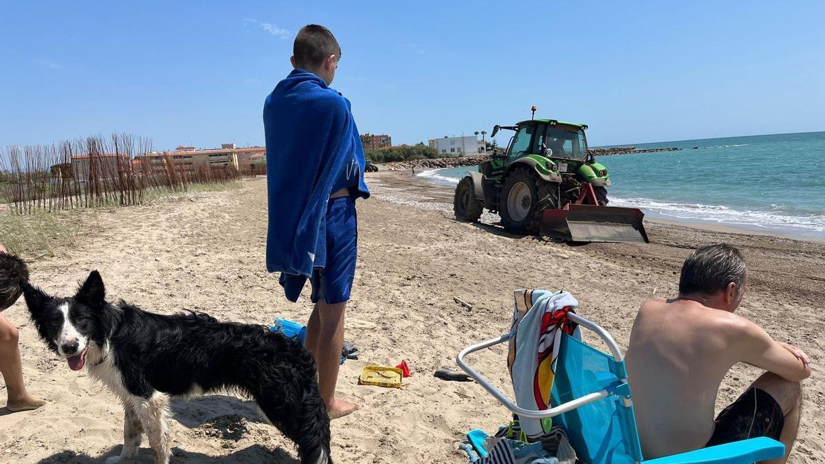 Los dos tractores accedieron el viernes a media mañana a la playa, cuando ya había bañistas en la zona