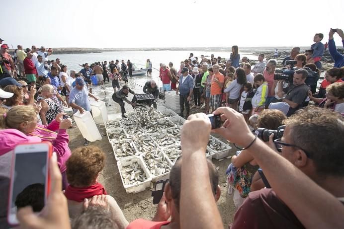 FUERTEVENTURA - CALADA DE PESCADO EN EL COTILLO 2017 - 22-08-17