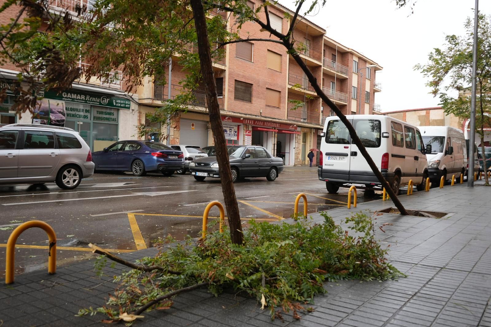 Los zamoranos hacen frente a la borrasca Ciarán