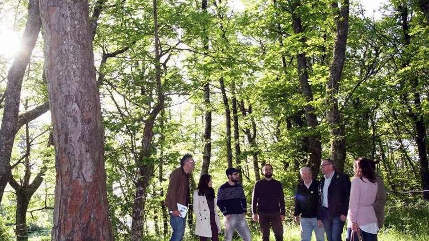 Miembros de APAC en el bosque de Casas Vellas. // Bernabé/Luismy