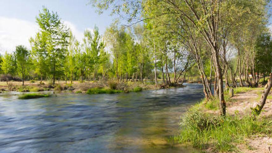 El suceso se produjo en el río Alberche.