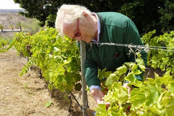 Justus Frankz, en su finca de Monte León