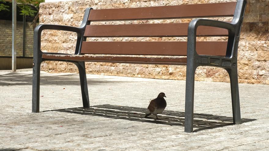 Suben las temperaturas este viernes en Canarias