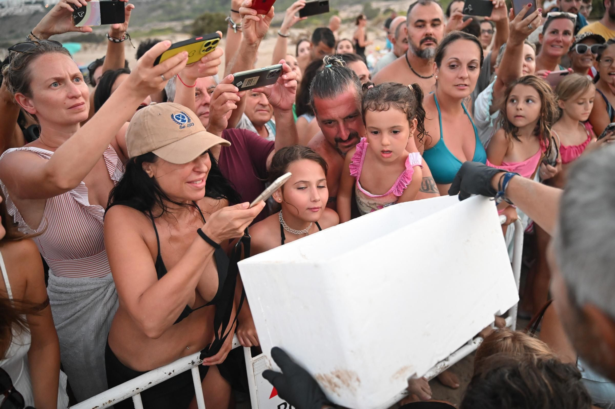 Gran expectación en Arenales del Sol por la suelta de 57 tortugas bobas recién nacidas