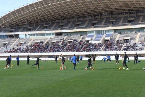 malagacf