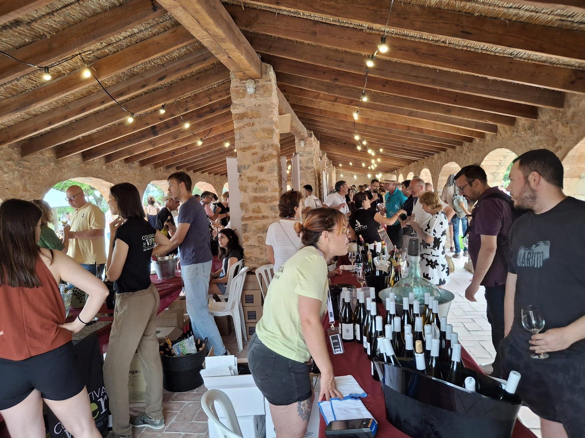 Singulares, de "poble" e insulares: la gran fiesta del vino en el riurau de Jesús Pobre (imágenes)