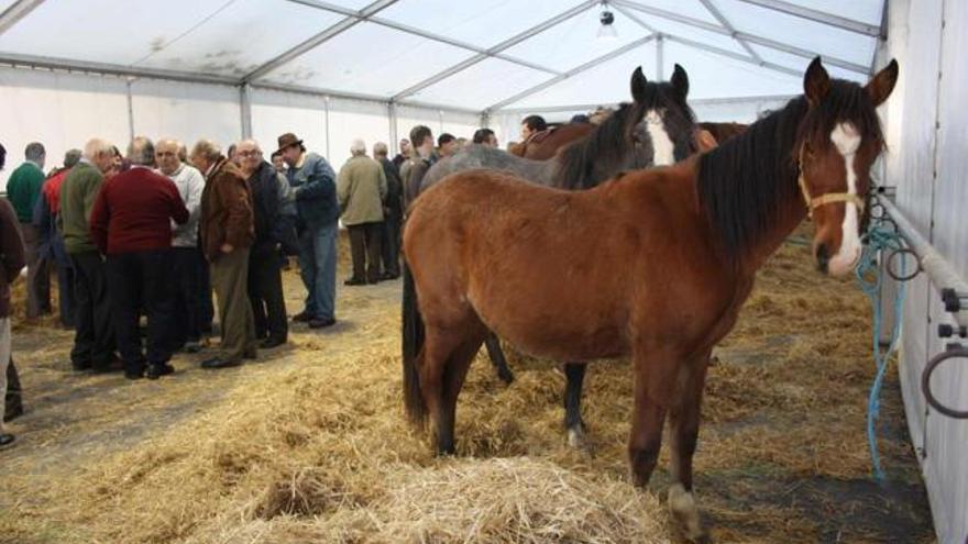 Feria de Santa Catalina de Luarca, en una edición anterior.