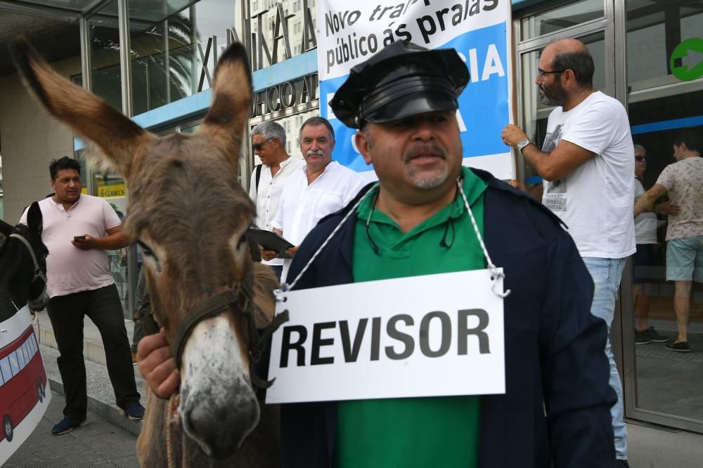 En burro a las playas de Oleiros