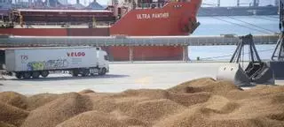 El tráfico de mercancías aumenta y sitúa al puerto de Cartagena en la élite europea