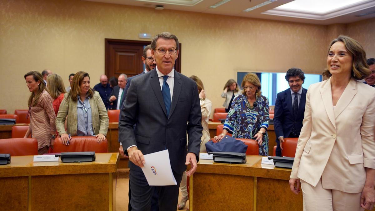 Alberto Núñez Feijóo, en el Congreso.