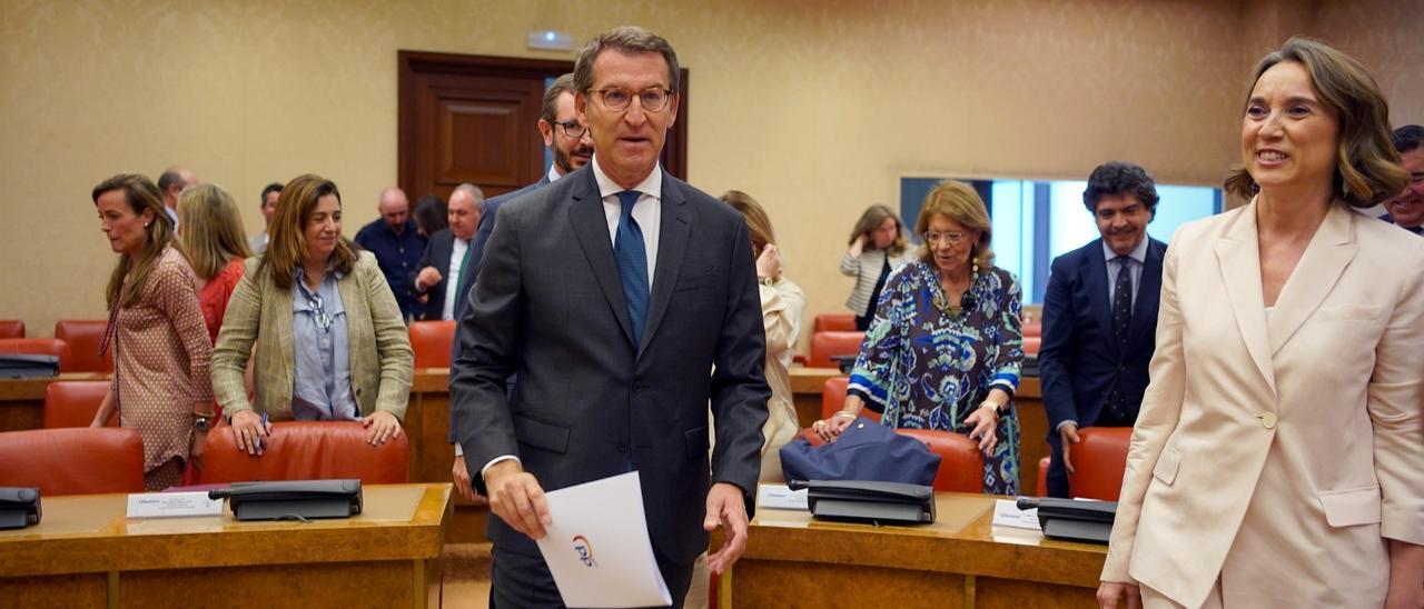 Alberto Núñez Feijóo, en el Congreso.