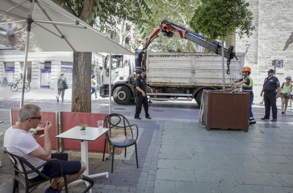 Nach dem Anschlag in Barcelona sind am Montag (21.8.) weitere Lkw-Barrieren in Form von Blumenkübeln aufgestellt worden, diesmal im Carrer Oms - die Fußgängerzone verbindet Plaça d'Espanya mit der Blumen-Rambla.