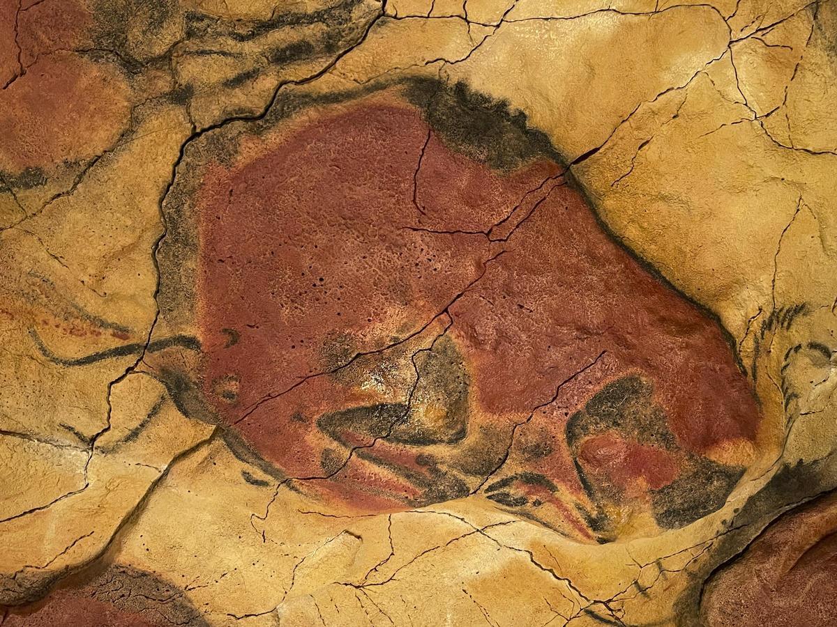Réplica de una de las pinturas de la cueva, en el Museo y Centro de Interpretación de Altamira en Santillana del Mar.