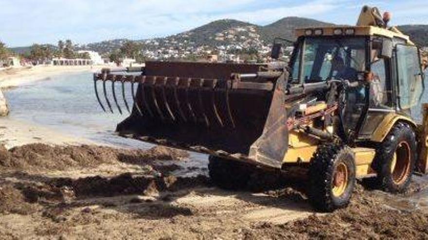 Los trabajos han comenzado en la playa de Talamanca.