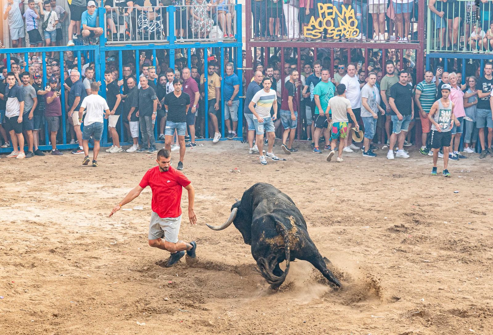 Las mejores fotos del Miura en Burriana, uno de los eventos taurinos de la temporada