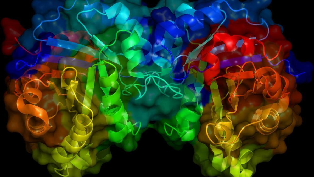 Estructura de una enzima triosephosphate isomerasa humana