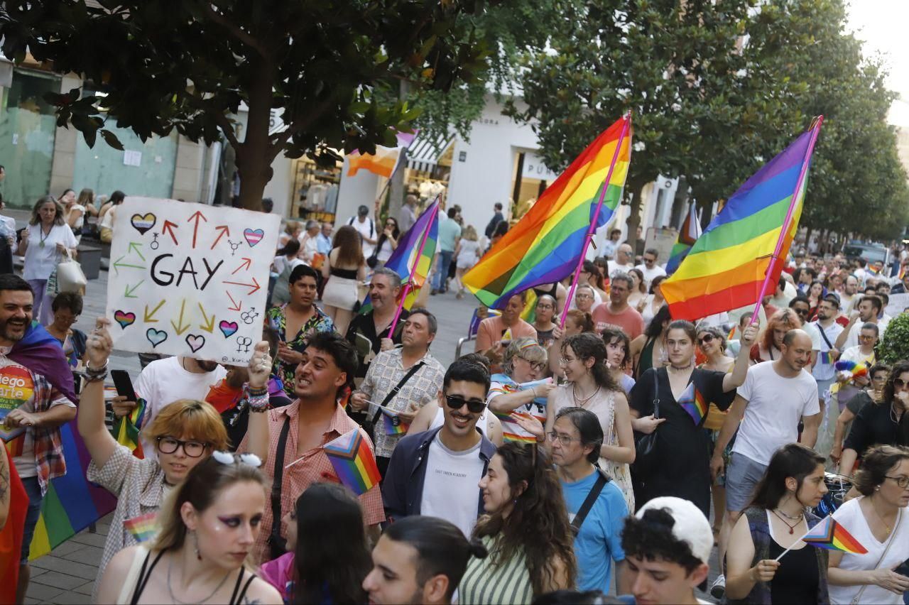 La marcha del colectivo LGTBI por Córdoba