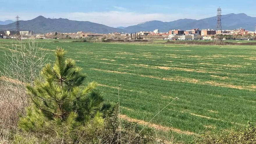 L'aprovació del planejament urbanístic del campus de Salut a Salt haurà d'esperar al 2026