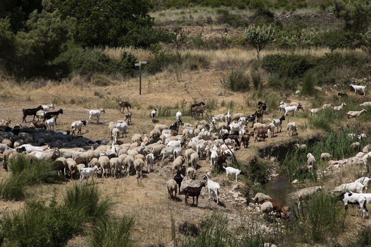 Andilla y Oset: Diez años después del incendio