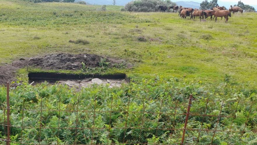 Rapa das Bestas denuncia la aparición de “trampas” en las rutas de sus caballos