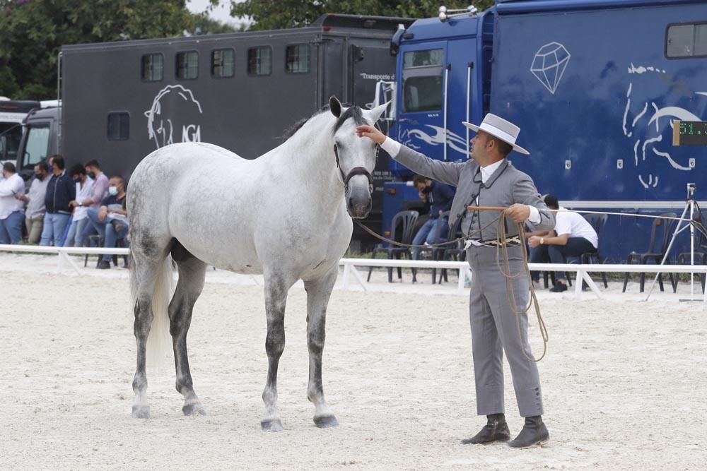 Cabalcor puede con la lluvia y el Covid