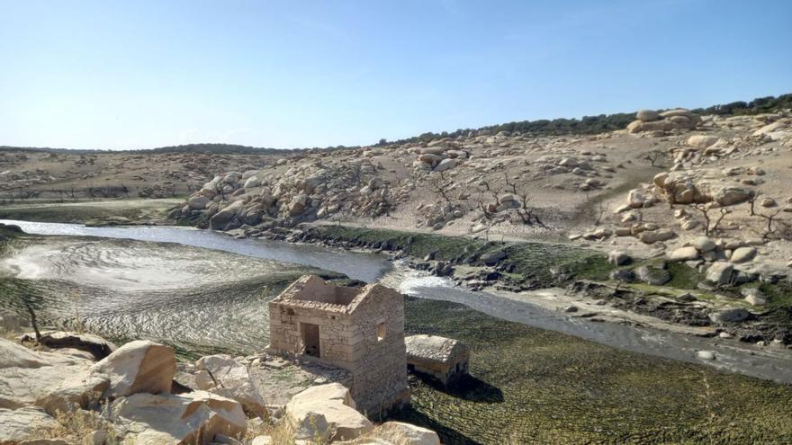 VÍDEO | El río Tormes recupera el curso por Sayago: “Estamos a un salto sobre el agua de Salamanca”