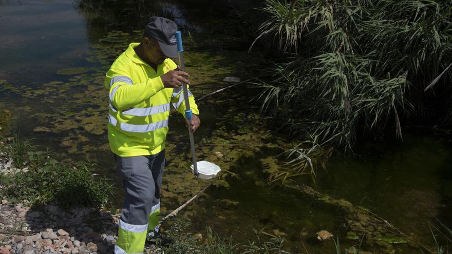 La Diputación intensifica los controles antimosquitos en la franja costera