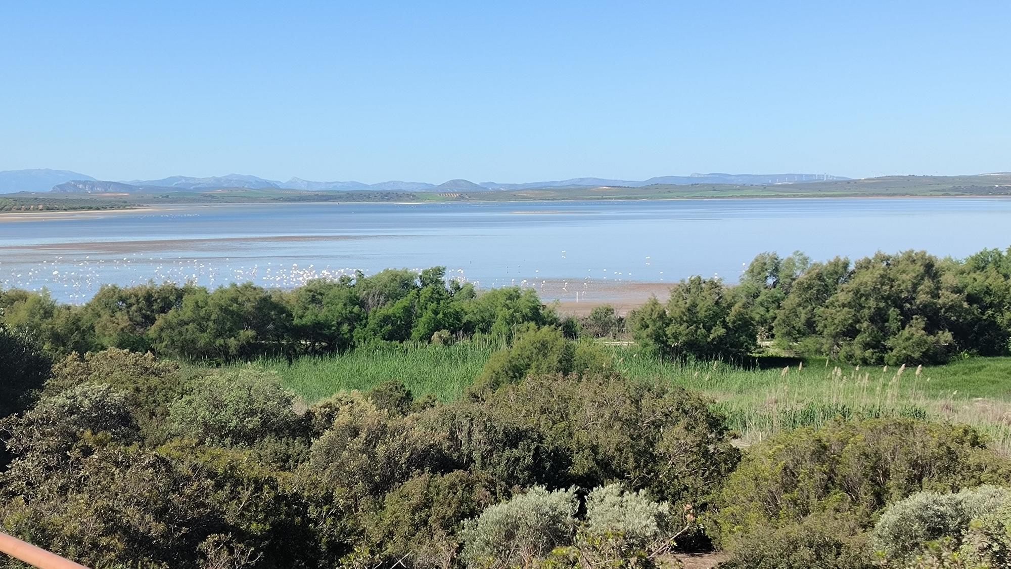 Acto de conmemoración de los 40 años de la Laguna de Fuente de Piedra como Reserva Natural.