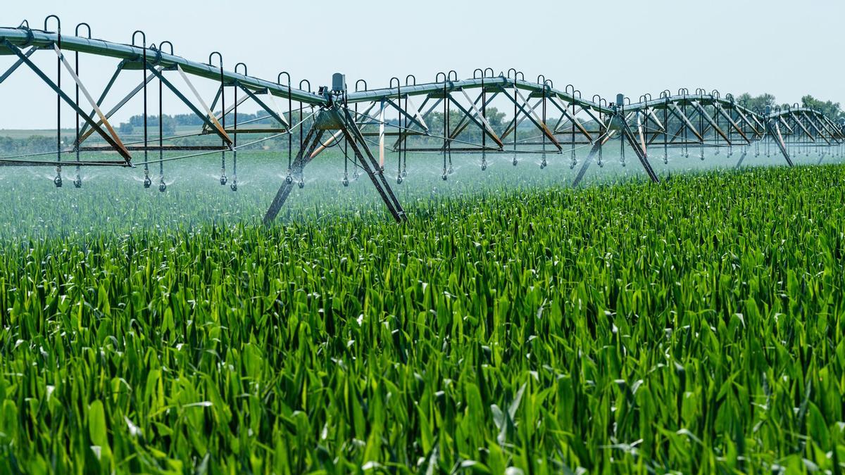 El riego de tierras agrícolas en regiones áridas es uno de los mayores consumidores de agua subterránea.