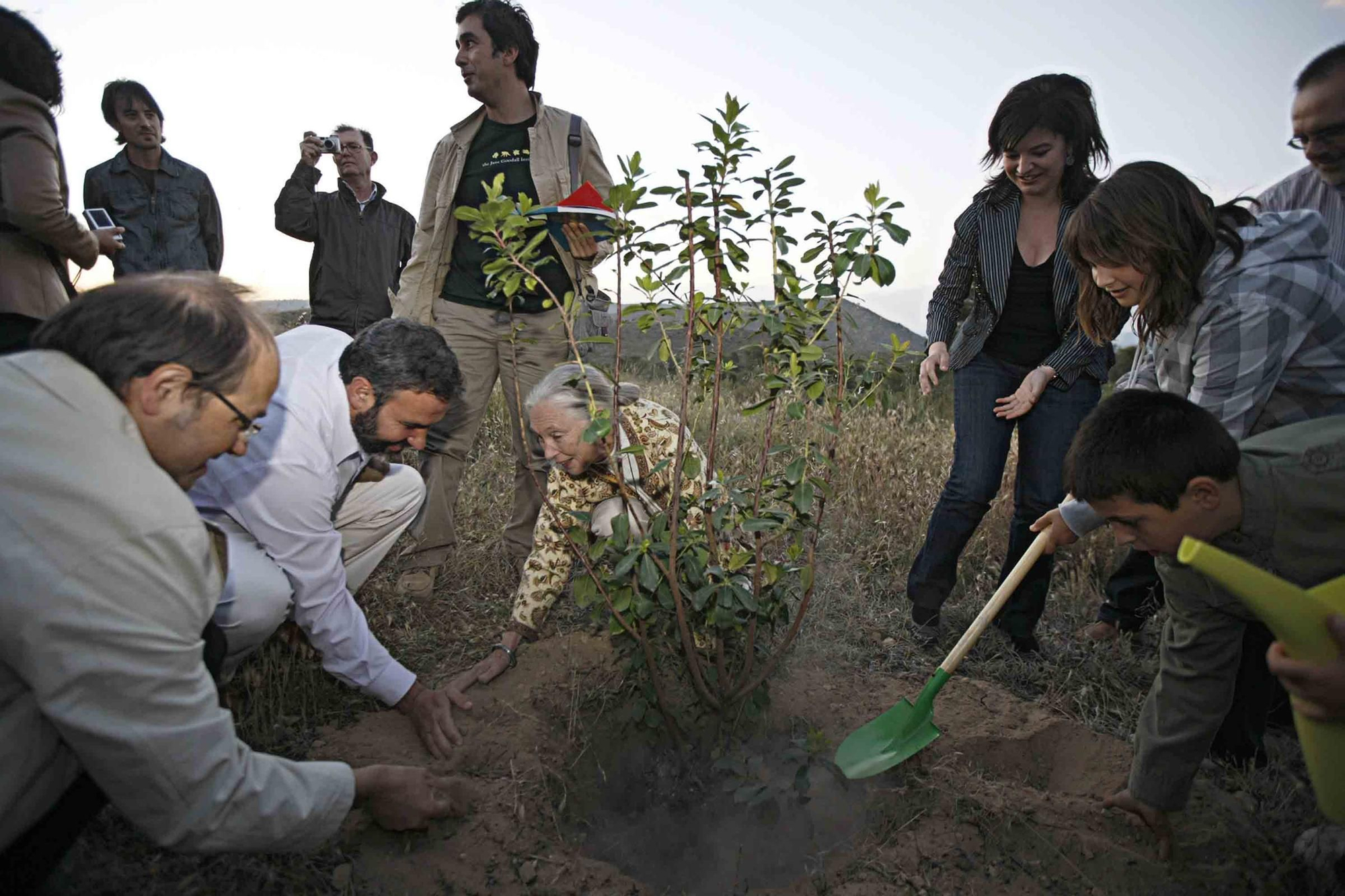 Fallece Jane Goodall, madrina de Primadomus y ‘honoris causa’ por la Universidad de Alicante