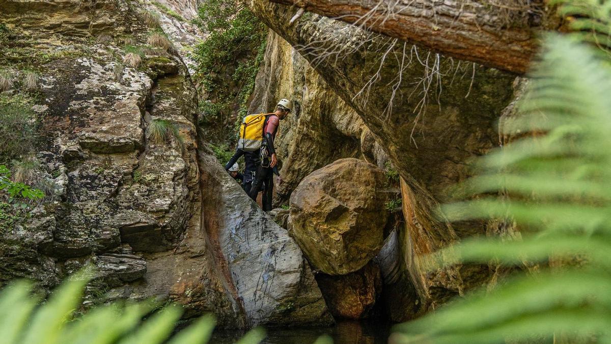 Un entorno único plagado de valles y bosques