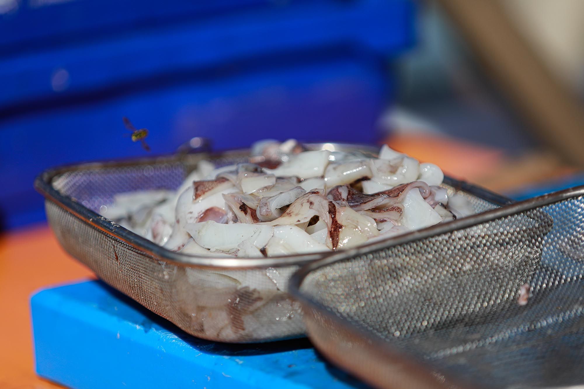 Todas las imágenes de la Fira des calamar 2023 de Sant Carles