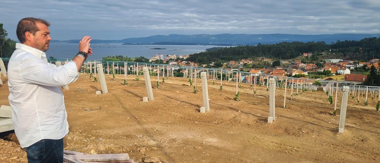 El responsable de Lagar da Condesa, David Landín, fotografía la parcela ya montada a la altura del campo de fútbol de Berdón, con la ría de Arousa, al fondo.