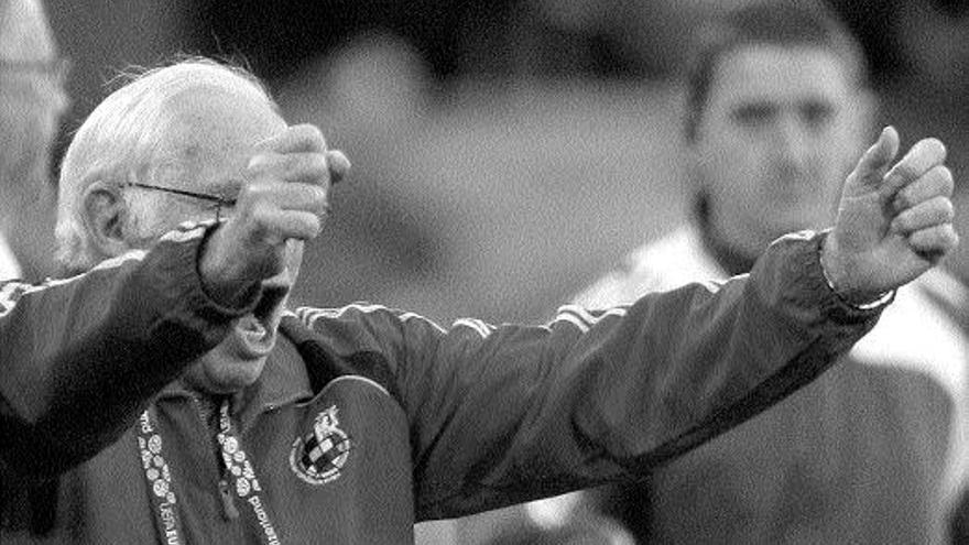 Luis Aragonés celebra uno de los goles de España ante Suecia, ayer en Innsbruck. / Juanjo Martín