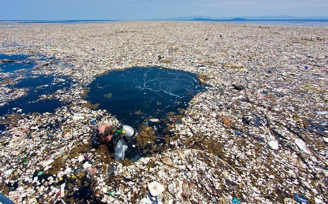 Un continete de basura