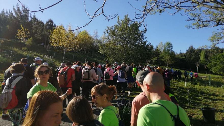 El inicio de la caminata por los montes de A Canicouva.   | // FDV