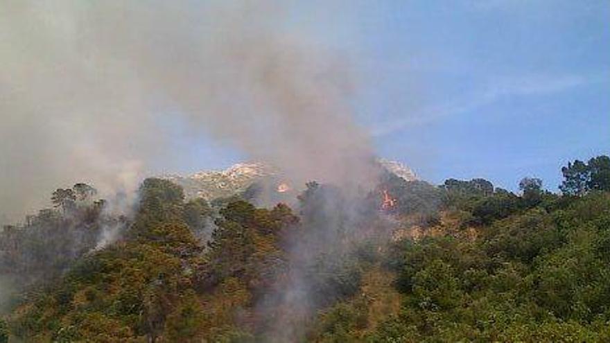 El fuego en Istán ha obligado a desalojar a cuatro personas.