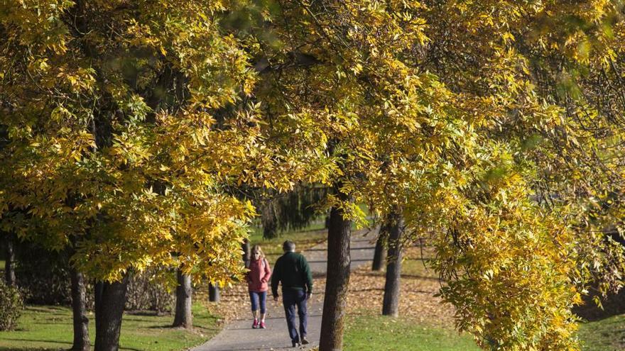 Bajan las temperaturas en la región