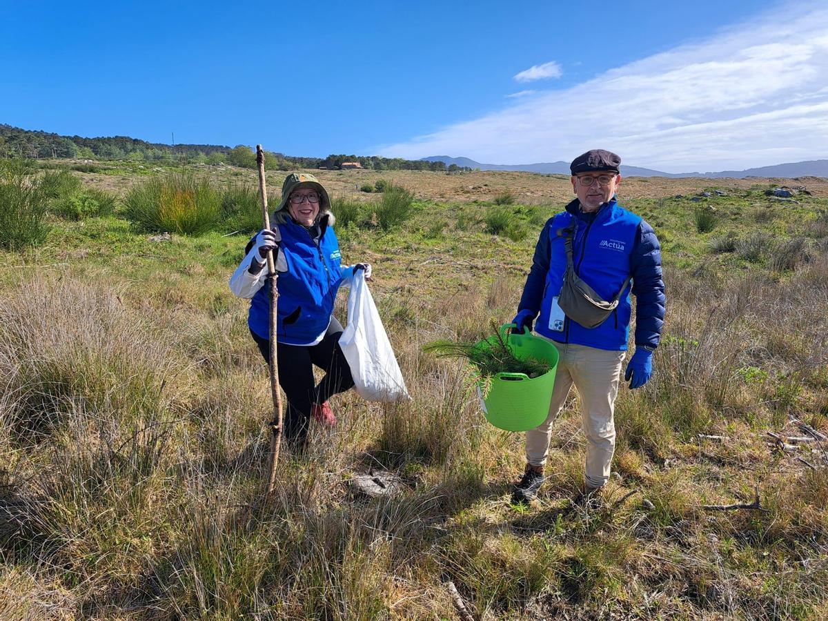 Dous voluntarios na xornada de eliminación de especies invasoras na contorna da duna de Corrubedo.