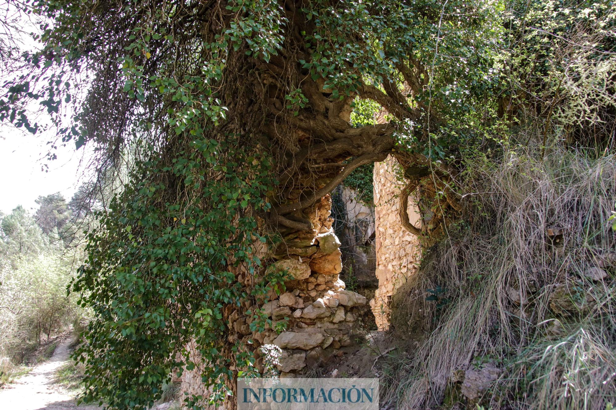 Ruta del encanto del barranco de la Encantada en Planes