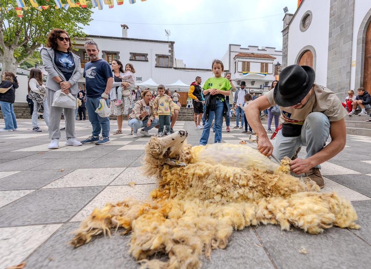 Feria 'Sabor y Tradición' en Valleseco