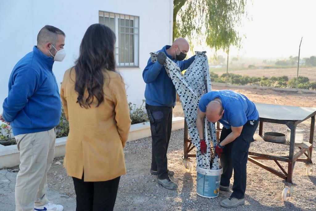 La "despertà" se disparará con cajas de coleccionista