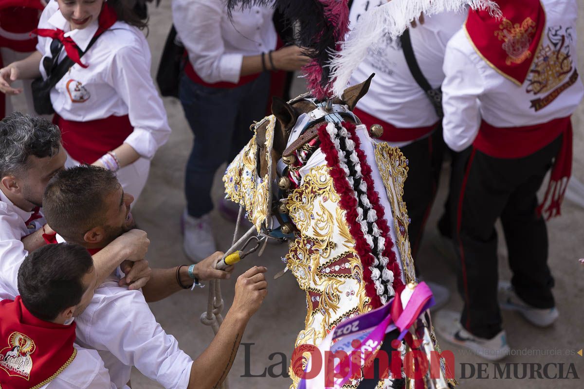 Así se ha vivido la carrera de Los Caballos del Vino en Caravaca
