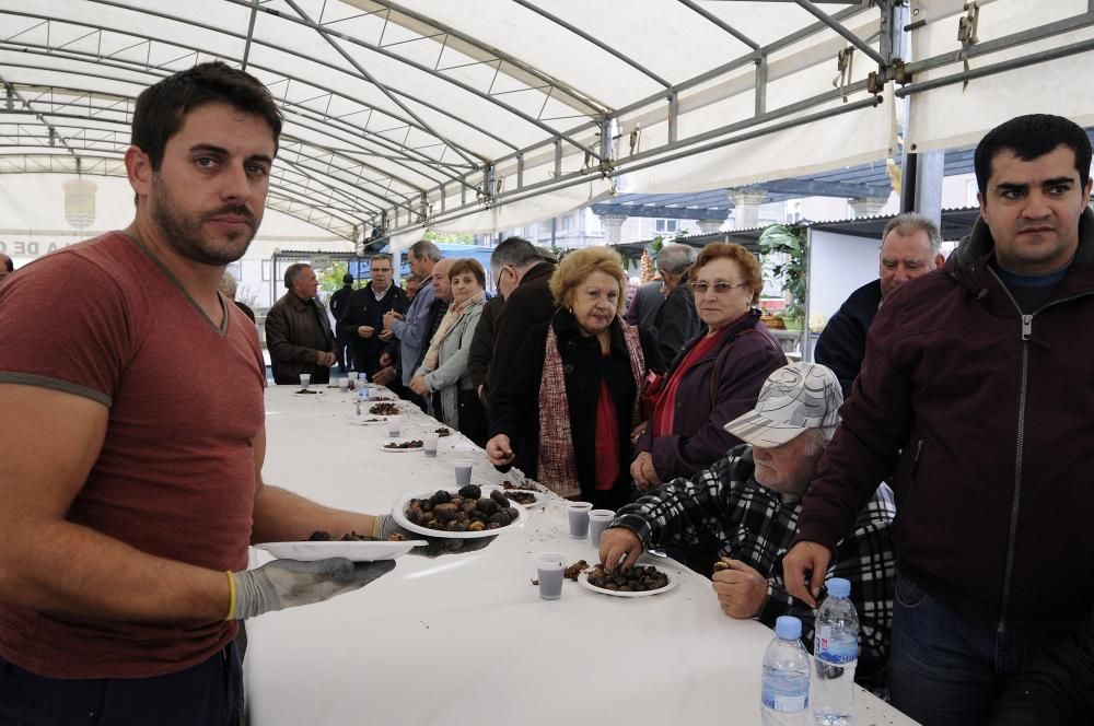 300 kilos de delicias en Cruces