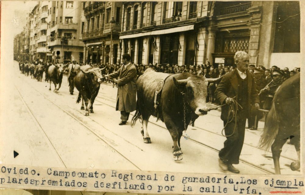 Adquisición del Muséu del Pueblu d''Asturies