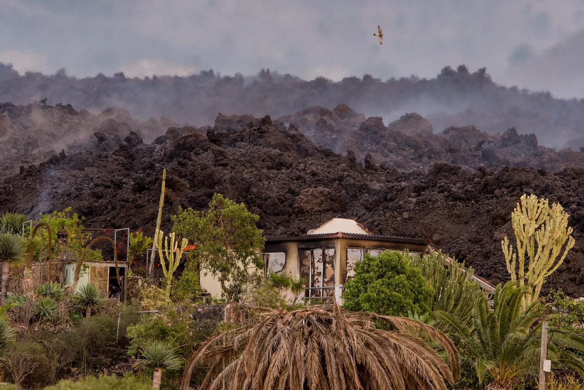 Erupción volcánica en La Palma | La lava se acerca lentamente al mar