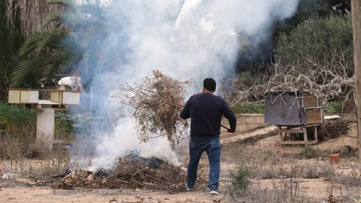 Un particular quemando rastrojos y restos vegetales en una finca de Elche el año pasado. | ÁXEL ÁLVAREZ