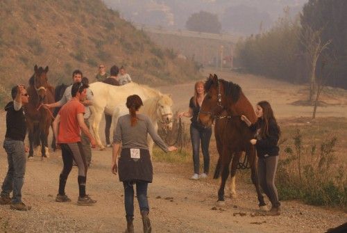 Incendi forestal a peu de les Gavarres